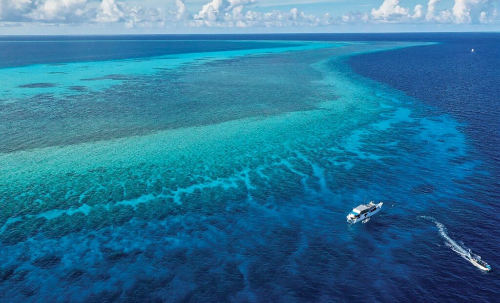 Tubbataha Reef Palawan