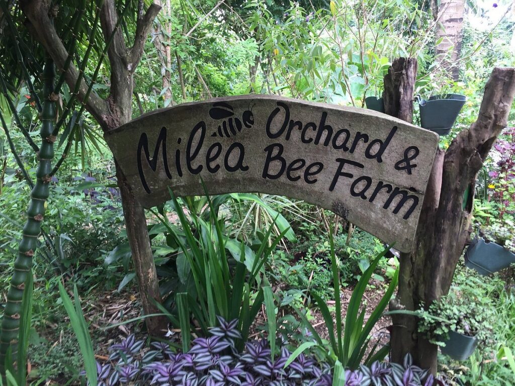 Milea Bee Farm Batangas