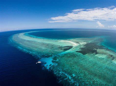 Tubbataha Reef Palawan