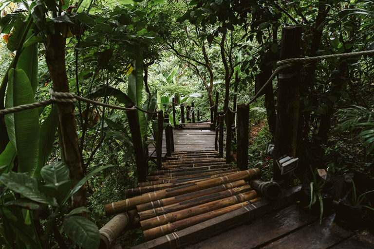 thebirdhouseelnido-132